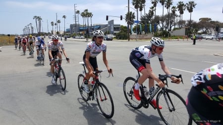 AMGEN TOC 2016