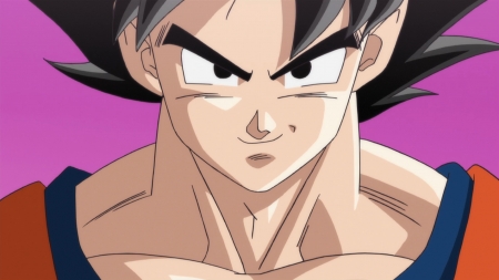 DBZ - Goku - dragon ball, tv series, japanese, characters, goku, show, anime, tv, series, dragon ball z, dbz