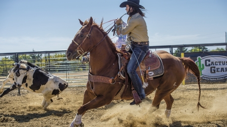 Rodeo Roping.. - fun, cow, female, boots, fashion, brunettes, western, barns, cowgirl, style, women, saddles, models, fence, girls, rodeo, horses