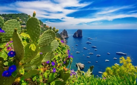 Capri - sky, boats, summer, capri, plants, rocks, coast, view, beautiful, island, flowers, horizons, sea