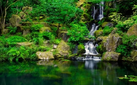 Small forest waterfall - trees, lilies, summer, pond, beautiful, small, forest, stones, waterfall, tranquility, serenity, lake, park, rocks