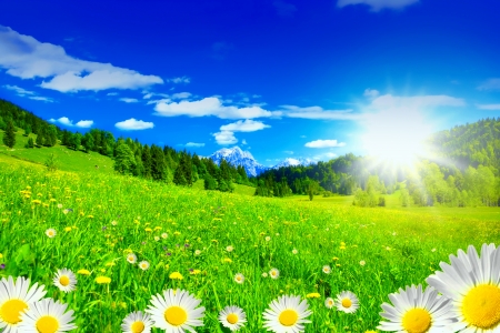 Summer meadow lit by the sun - pretty, summer, grass, spring, mountain, flowers, daisies, field, sky, sun, sunlight, beautiful, slope, freshness, meaodw, glow, camomile, rays, shine