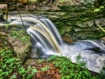 Little Mudlick Creek, Kentucky