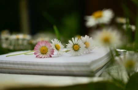 ~✿~ - flowers, photo, nature, notebook