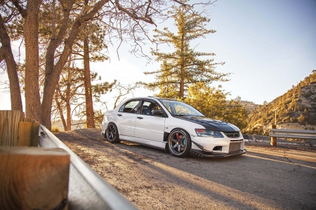 Mitsubishi Lancer EVO - street, trees, car, EVO, tuner, Mitsubishi, Lancer