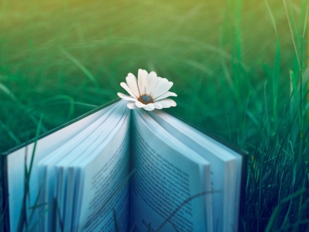 ~✿~ - flowers, photo, nature, book