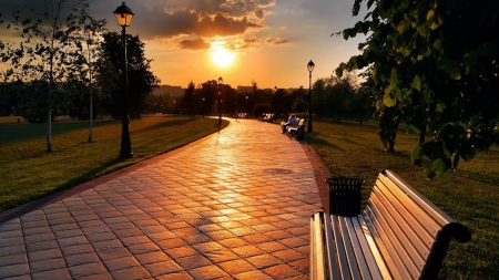 Wonderful place to watch sunset - trees, sunset, sun, terrace