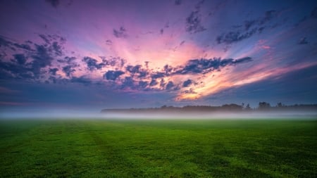 Wonderful the line of fog - beautiful, field, fog, nature