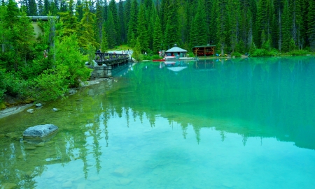 Wonderful water color - lake, tree, amazing, water