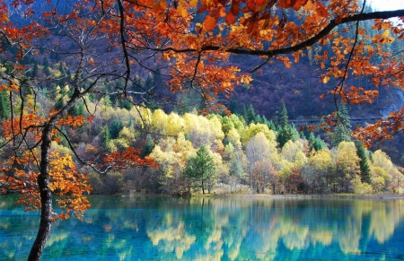 Beauty of nature - autumn, lake, aqua, trees, water, nature, fall, forest, yellow, blue, orange