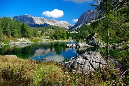 Triglav lakes valley - trees, beautiful, landscape, valley, reflection, mountain, serenity, lake, sky