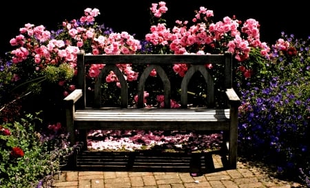 Bench in Garden - nature, bench, flowers, garden