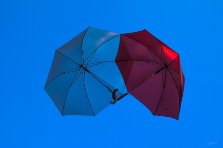 Umbrellas - blue, red, photography, two, umbrellas