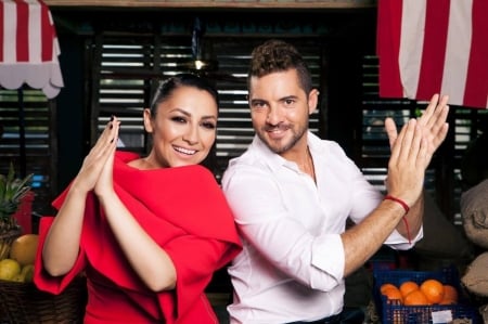 Andra and David Bisbal - red, david bisbal, andra, romanian, girl, male, white, spanish, singer, hand, couple, woman, man