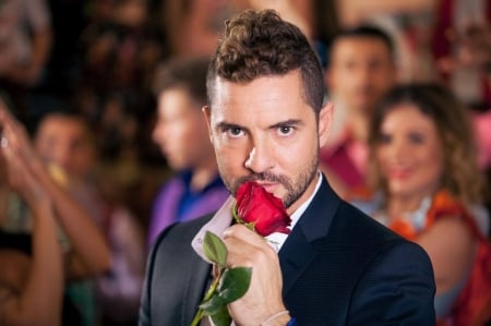 David Bisbal - male, spanish, without you, song, singer, rose, david bisbal, man, red, flower