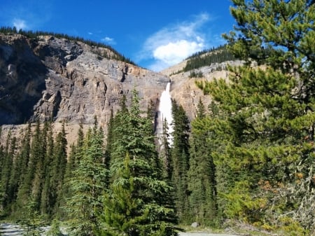 Waterfall in Alberta - trees, canada, nature, baff, waterfall, alberta, mountain