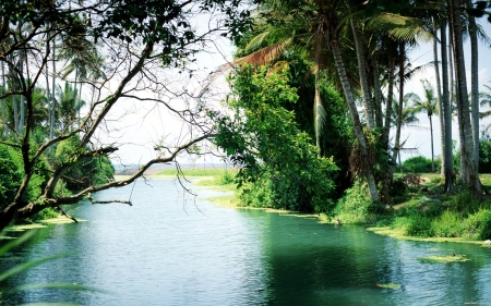 danshui river bali - danshui, tree, bali, river