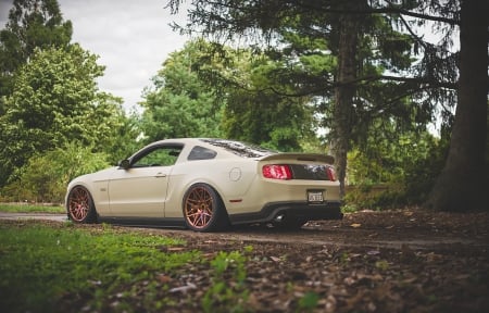 Ford Mustang - ford, mustang, car, auto