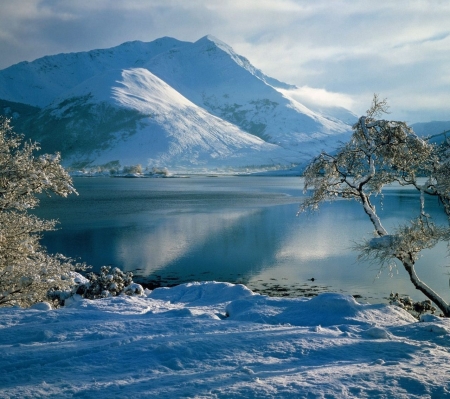 Serene - serene, lake, mountains, tree