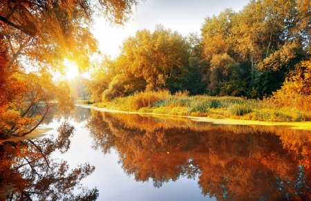 Autumn Reflections - trees, sun, water, leaves, sunset, colors