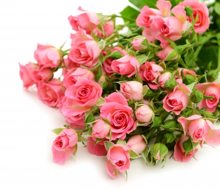 Bunch of Roses - leaves, roses, pink, green