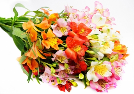 Bunch of flowers - yellow, pink, Flowers, red