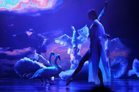 Swan Lake - women, swans, dancing, theatre