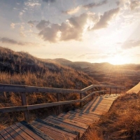 Wooden Pathway