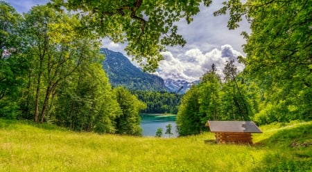 Wooden mountain hut - hut, lake, sky, mountain, trees, wooden, greenery, serenity, view, beautiful, grass