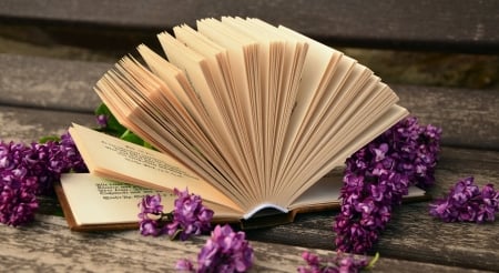 Still Life - flower, still life, wood, book