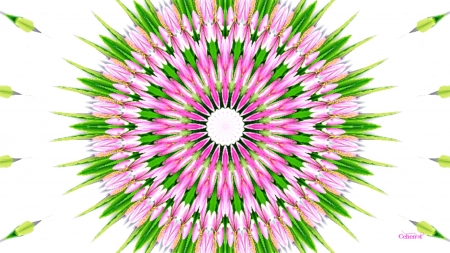 Abstract - mandala, white, pink, spring, texture, by cehenot, abstract, green