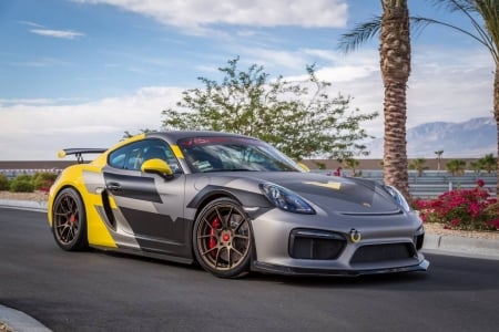 Cayman GT4 V-CS Aero by Vorsteiner - Sports Car, Wing, Porsche, GT4