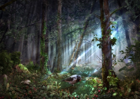 ♥ - abstract, fantasy, art, forest