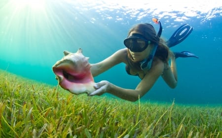 Scuba Diving - water, shell, ocean, swimming, outdoors, babe, hobby, lady, scuba diving, activity, nature, woman