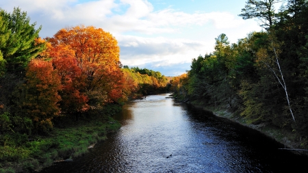 Autumn River - river, trees, nature, autumn, forest, sky