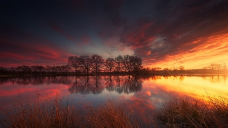 Spring Lake,France - clouds, trees, nature, lake, spring, grass, reflection