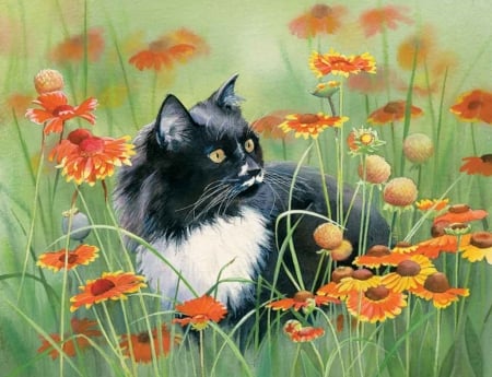 Cat in Flowers - summer, blossoms, garden, kitty