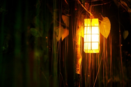 Warm Light - dark, photography, lanterne, light, leaves