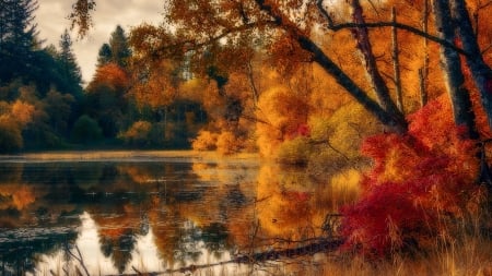 Autumn Lake - lake, autumn, forest, trees