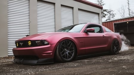 2014 Ford Mustang GT - 2014, gt, car, mustang, ford