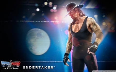 WWE SmackDown vs. Raw 2011 - 201, game, WWE, The Undertaker, gaming, SmackDown vs Raw, video game