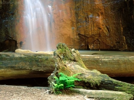 Enchanting Nature - nature, geology, pool, waterfall, old, rustic, enchanting, rocks