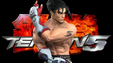 Tekken 5 - game, Tekken 5, gaming, fighting, Jin Kazama, video game