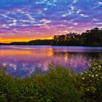 A Moody Sunset at Callaway Garden