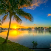 Lake Victoria,Downtown Garden