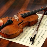 Violin