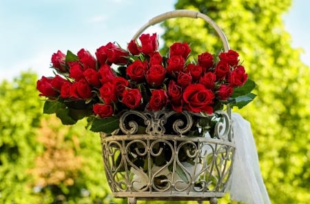 A Basket full of Roses! - nature, basket, flowers, roses