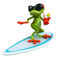 Surfen Frog