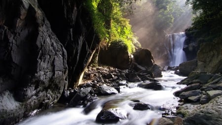 Gorgeous Creek - trees, water, nature, creek, forest, mountains