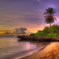 Beach Sunset